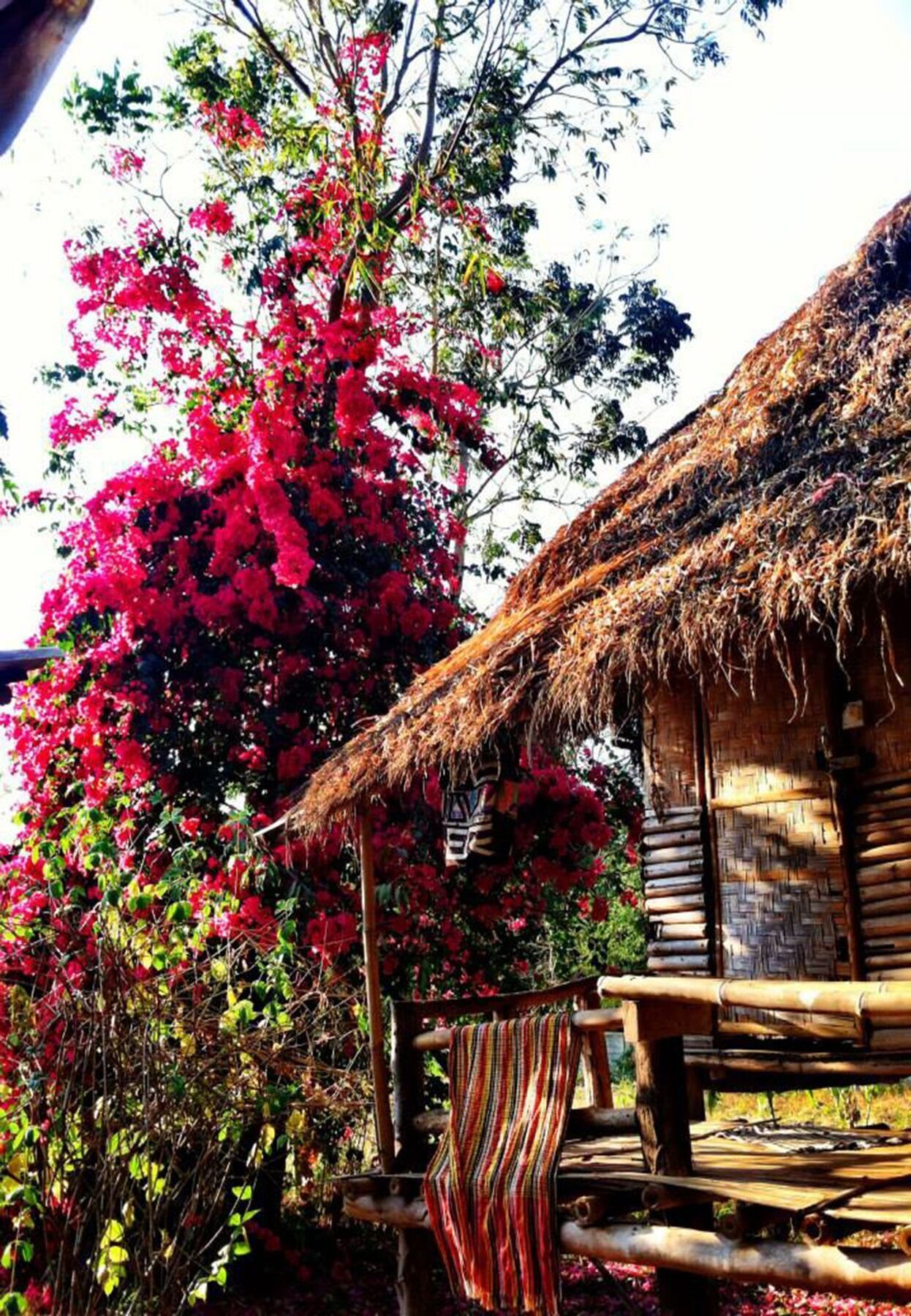 Giant House Riverside Pai Bagian luar foto