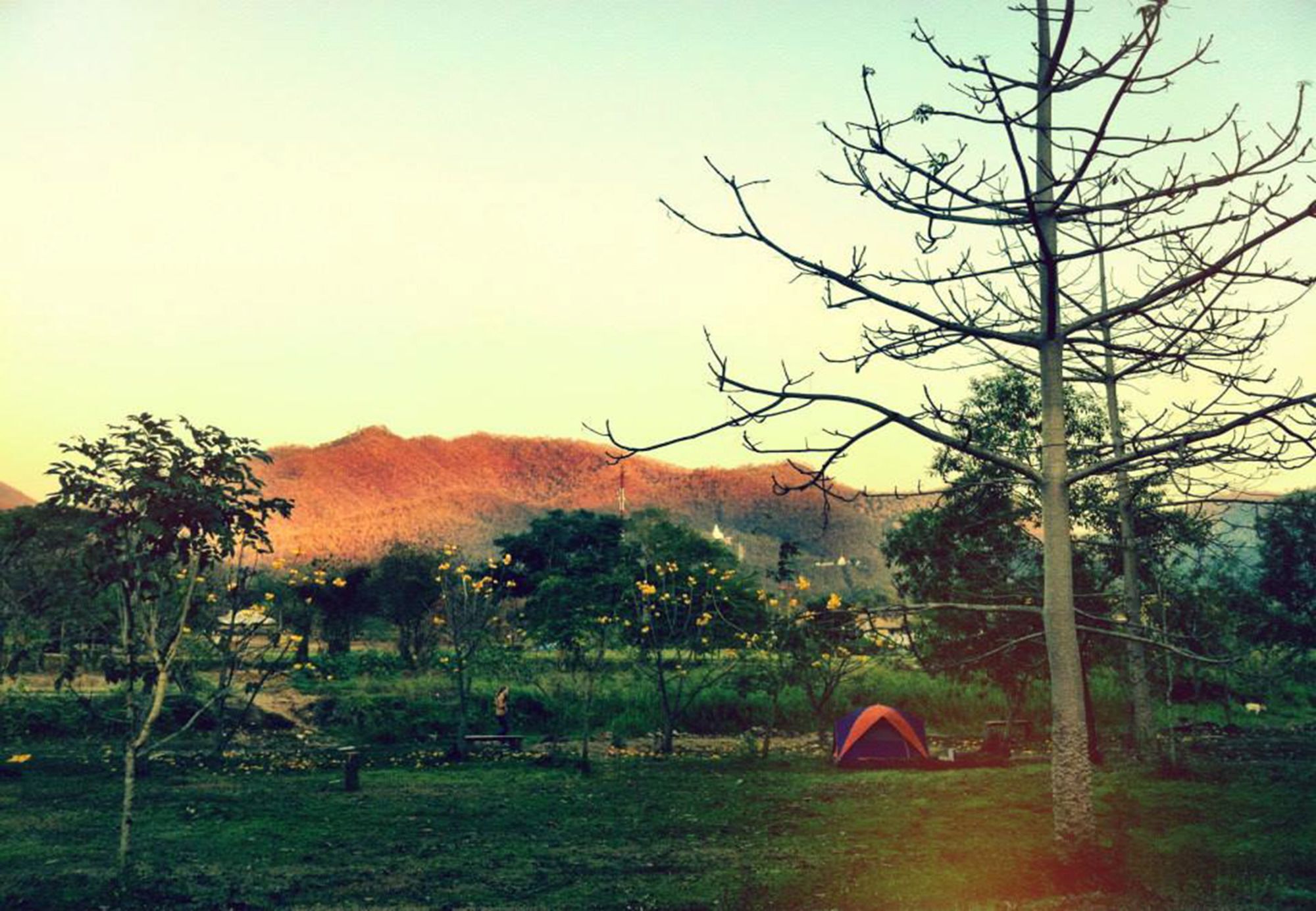 Giant House Riverside Pai Bagian luar foto